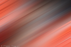 Motion-41