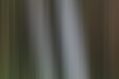 Motion-43