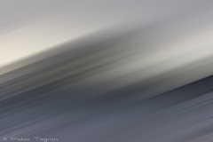 Motion-47
