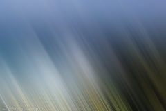 Motion-48