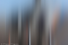 Motion-49