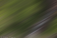 Motion-52