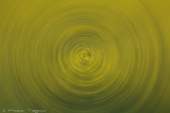 Motion-56