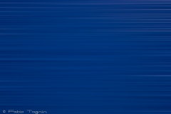 Motion-61