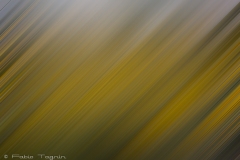 Motion-66