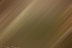 Motion-67
