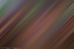 Motion-68