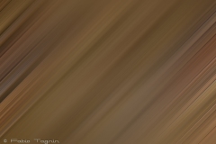 Motion-69