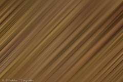 Motion-70
