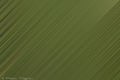 Motion-71