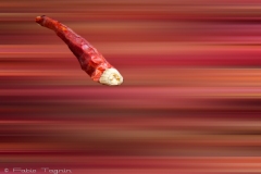 Motion-73
