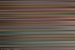 Motion-75