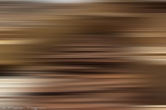 Motion-77