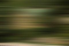 Motion-78