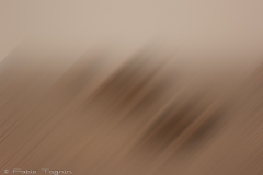Motion-79