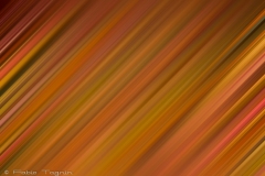 Motion-81