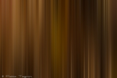 Motion-84