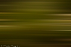 Motion-85