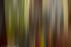 Motion-86