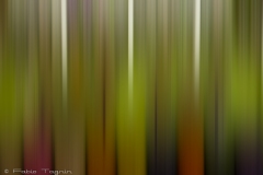 Motion-87