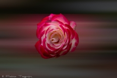 Motion-91