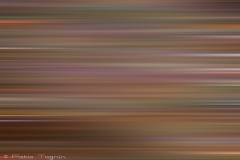 Motion-95