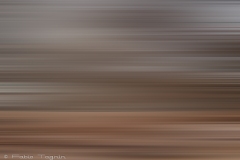 Motion-96