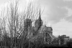 Paris-13